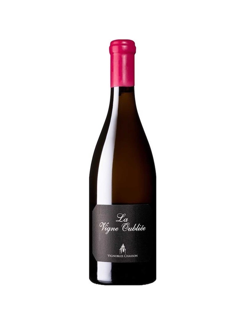 AOP LUBERON "VIGNE OUBLIÉE" ROSÉ 2023 AOP LUBERON "VIGNE OUBLIÉE" ROSÉ 2023