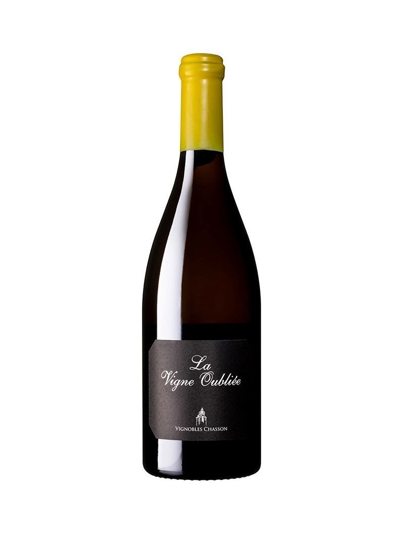 AOP LUBERON BLANC "VIGNE OUBLIEE" 2023 AOP LUBERON BLANC "VIGNE OUBLIEE" 2023